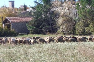 Loisirs dans les Alpes de Haute Provence � Chateauneuf val saint donat